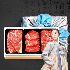 한우 명품 다하누명품특가1호 등심 채끝 안심 각300g 총 900g, 1개