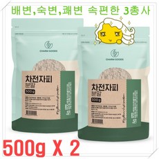 차전자피500g