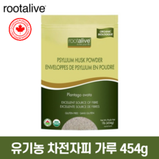 차전자피오은영