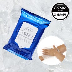 갸스비 아이스 데오도란트 바디 페이퍼 시트러스 10매, 1개