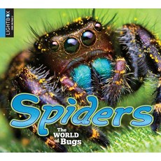 Spiders Library Binding, Lightbox, English, 9781510501300