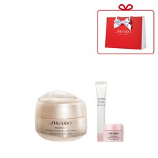 시세이도선스틱선물