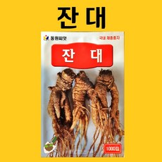 농사친구 잔대 1000립 씨앗 동원 씨 종자 쪽파 고사리 명이나물 산상추 초당옥수수 항암배추 담배 산마늘 아스파라거스 고수, 1봉