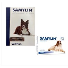 액티베이트중형견