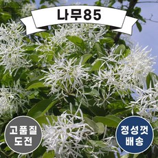 415bae40a9c05089c3c3136080af473bd4d2138bb0abbca182324e8b549c.jpg
