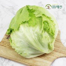 샐러드에 안성맞춤 양상추 6통, 6개