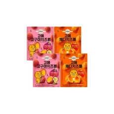 춘식이전자제품