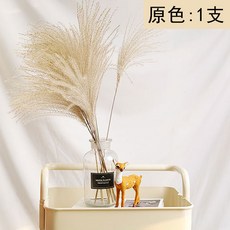 지니마켓1 핑크 블루 엘로우 손장난 촬영함 장식품 액세서리 인싸템 빅 부들갈대 프리저브드꽃다발 착지, 원색 한개