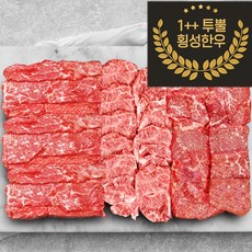 1++ 투뿔 횡성한우 2~3인분 배부른 구이 모둠, 600g, 1세트