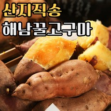 화산농협해남황토밤고구마