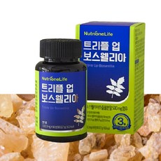 뉴트리원 임영웅 트리플 업 보스웰리아 90정X1 000 3mg 관절건강엔, 1개