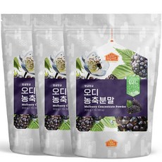 비옴 뽕나무 열매 오디 분말, 300g, 3개, 300g