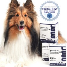  뉴트리멍 강아지 유산균 설사 장건강 애완견 유산균 췌장염 영양제 밸런스핏 프로바이오틱스100, 2박스 