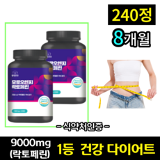 프랑스자수코사지
