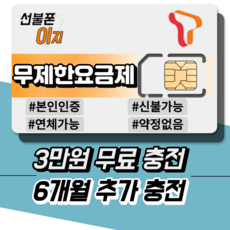 선불폰이지 SKT 무제한요금제 3만원무료충전 6개월추가충전 유심기변 알뜰유심 USIM 모빙, 데이터 안심 300 [월 36,000원], 유심비 [+10,000원]