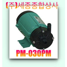 윌로펌프 PM-030PM 화학액 활어 식수 온수 순환용 설비용 도금액 30W, 1개