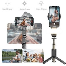 루이트7세대