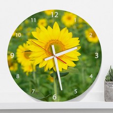 파리해바라기민박