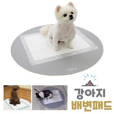 초코펫하우스논슬립