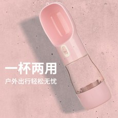 애견동반등산