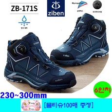 zb171s