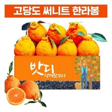 제주농부 [신선연구소]13Brix신품종 최강당도 써니트 한라봉2kg 로얄과