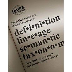 DAMA 데이터 관리 사전 2 판 : IT 및 비즈니스 전문가를 위해 정의 된 2 000 개 이상의 용어, 단일옵션