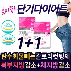 ( 식약처 인증 ) 중년 내장지방 피하지방 체지방 감소 기능성 식품 50대 60대 복부 허리 뱃 살 빠지는 가르시니아 단기 다이어트 보조제 40대 남성 여성 탄수화물 칼로리 컷팅제, 2개, 60정