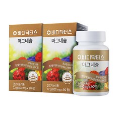 닥터에스더마그네슘