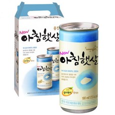 일본소화제오타이산