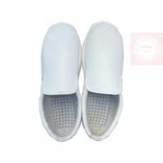 pn2dp561