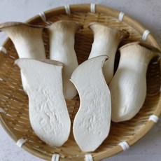 경남 의령 새송이버섯 당일수확 손질 새송이 느타리버섯, 1개, 새송이버섯 특품 2kg