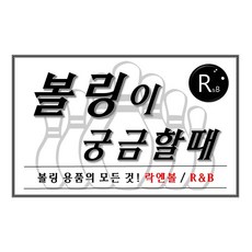 락엔볼 - 맥스 T-1 오른손잡이용 탈부착 볼링화 남여공용