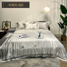 해외 80 양면 침대 Tencel 및 시원한 침대 이불 순수한 색상 간단한 북유럽 스타일 에어컨 이불 가벼운 침대-13780, 옵션05