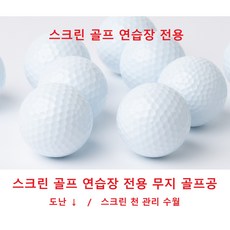 pxg골프공-추천-상품