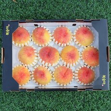 4in점핑커