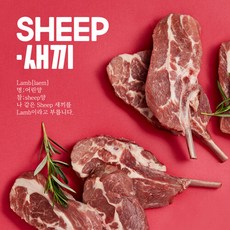 쉽새끼양갈비-추천-상품
