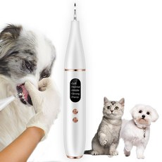강아지 고양이 셀프 가정용 스케일링 도구세트 반려동물용치석제거, 1개, 1
