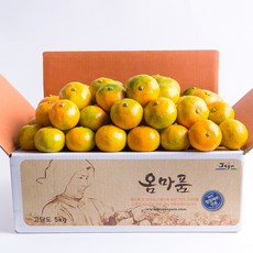 [옴마품]달콤새콤 햇노지감귤 4.5kg중대과(L/2L), 1개
