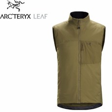 아크테릭스아톰