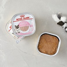 로얄캐닌 캣 마더 앤 베이비 무스 트레이 100g x 24개 고양이 간식 습식사료, 단일맛