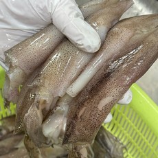 [자연산] 손질이 필요없는 통찜용 총알 한치 급냉 생물, 3개