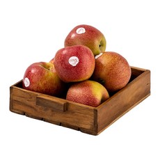 [감동] 고당도 엔비 사과 가정용/정품 평균당도 14brix이상 고당도, 1박스, 4kg 중과 13-17과(가정용,펜시등급)