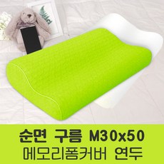 포근포그미2인용베게솜