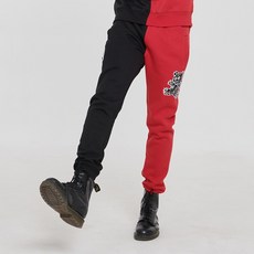 코닥스크린샷케이스