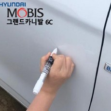 천안카니발방음모노륨