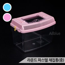 간이팩케이지