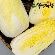 dwu600-g램프