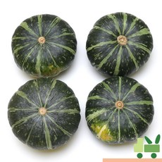 사라상회 뉴질랜드 단호박 1.5Kg (1통), 1개