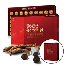 광동 6년근 홍삼보력환 (3.75gx60환), 1개